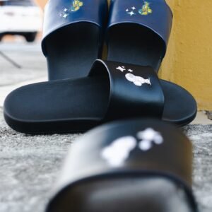 Ambition Slides